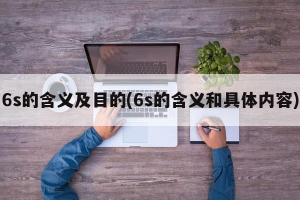 6s的含义及目的(6s的含义和具体内容)